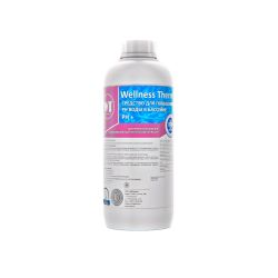 Средство для повышения pH жидкое 1 л для бассейнов Wellness Therm 312705